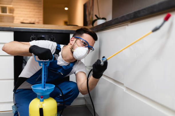 Best Emergency Pest Control  in Dallesport, WA