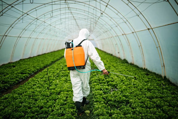 Best Pest Control for Businesses  in Dallesport, WA