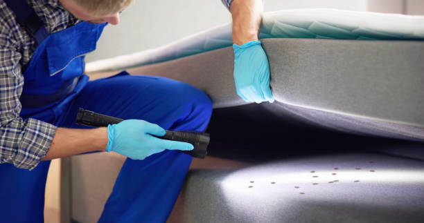 Best Best Pest Control Companies  in Dallesport, WA