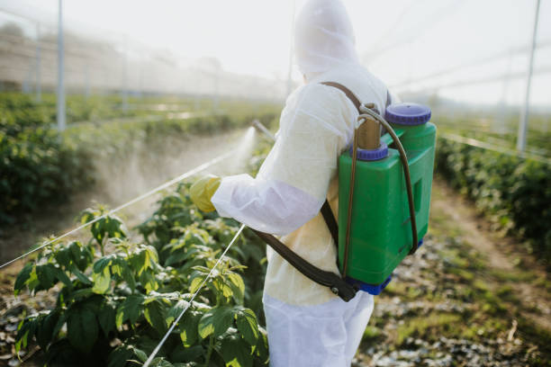 Wildlife Control Services in Dallesport, WA